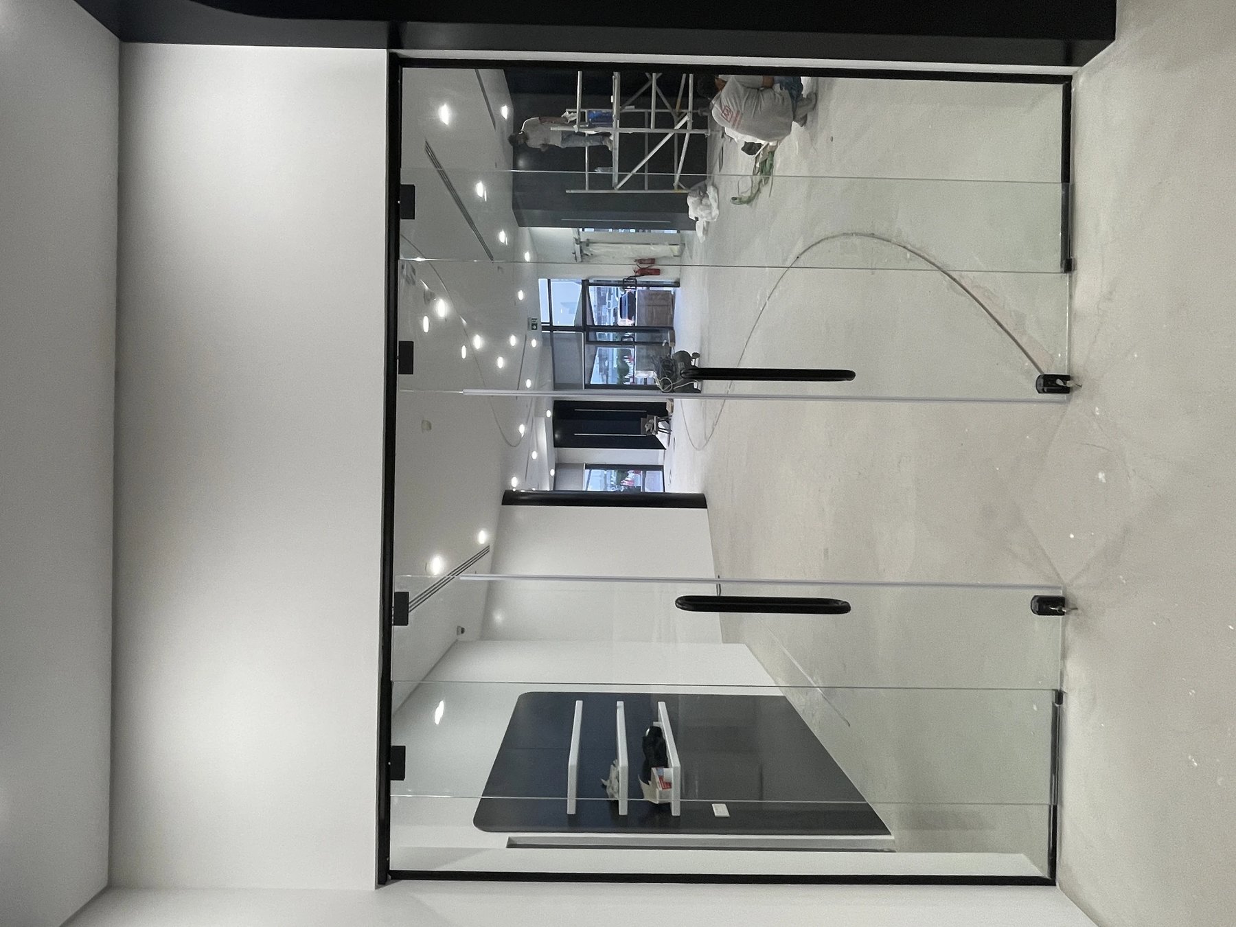Frameless Glass Partition Door